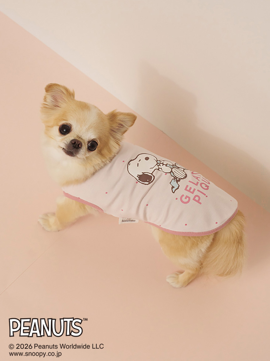 CAT & DOG