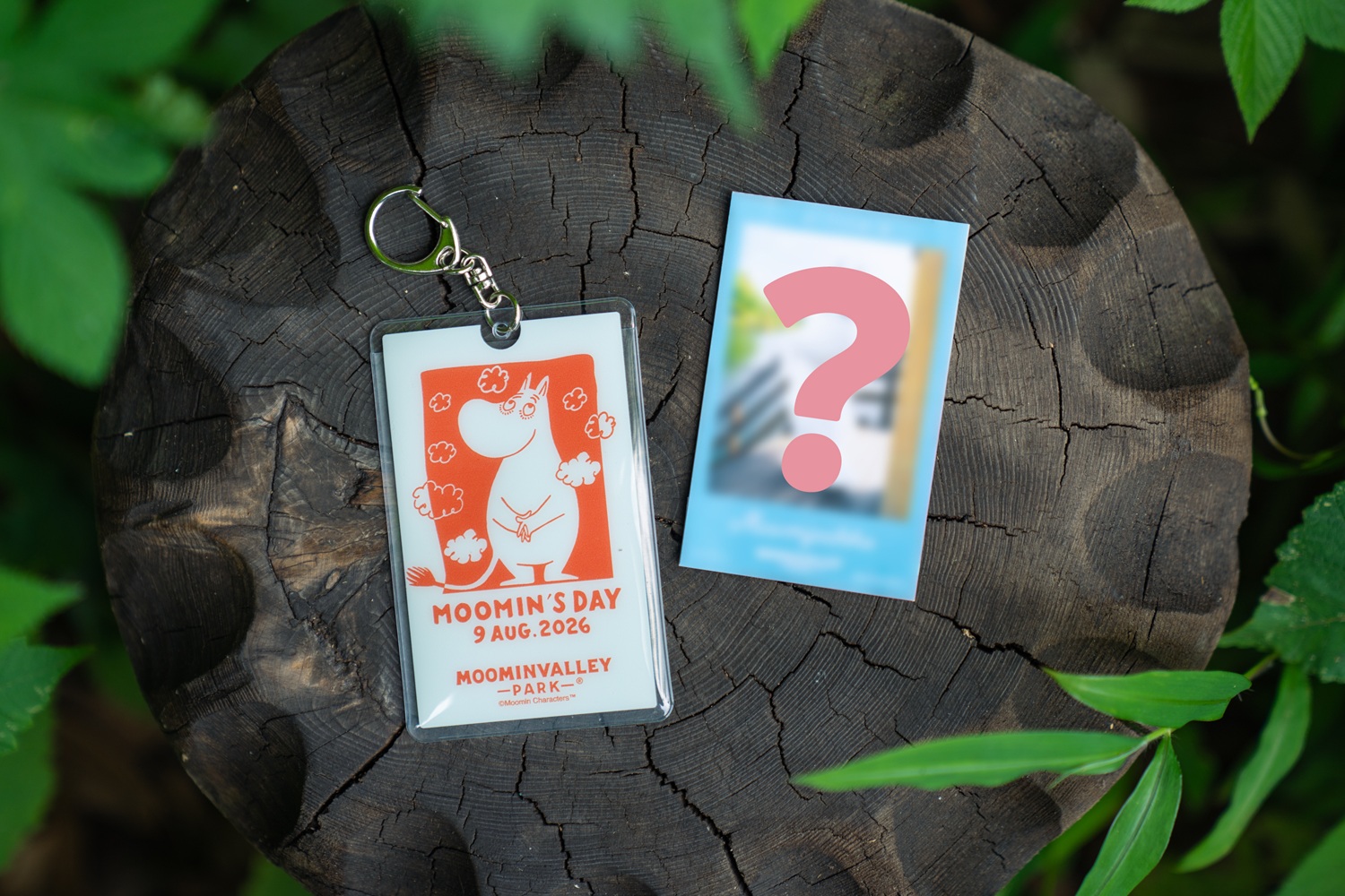 限定アートがデザインされた「カードホルダー」