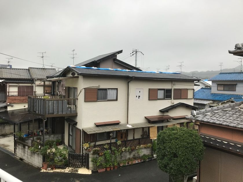 台風被害を受け屋根にブルーシートがかけられた住宅街の家屋の様子