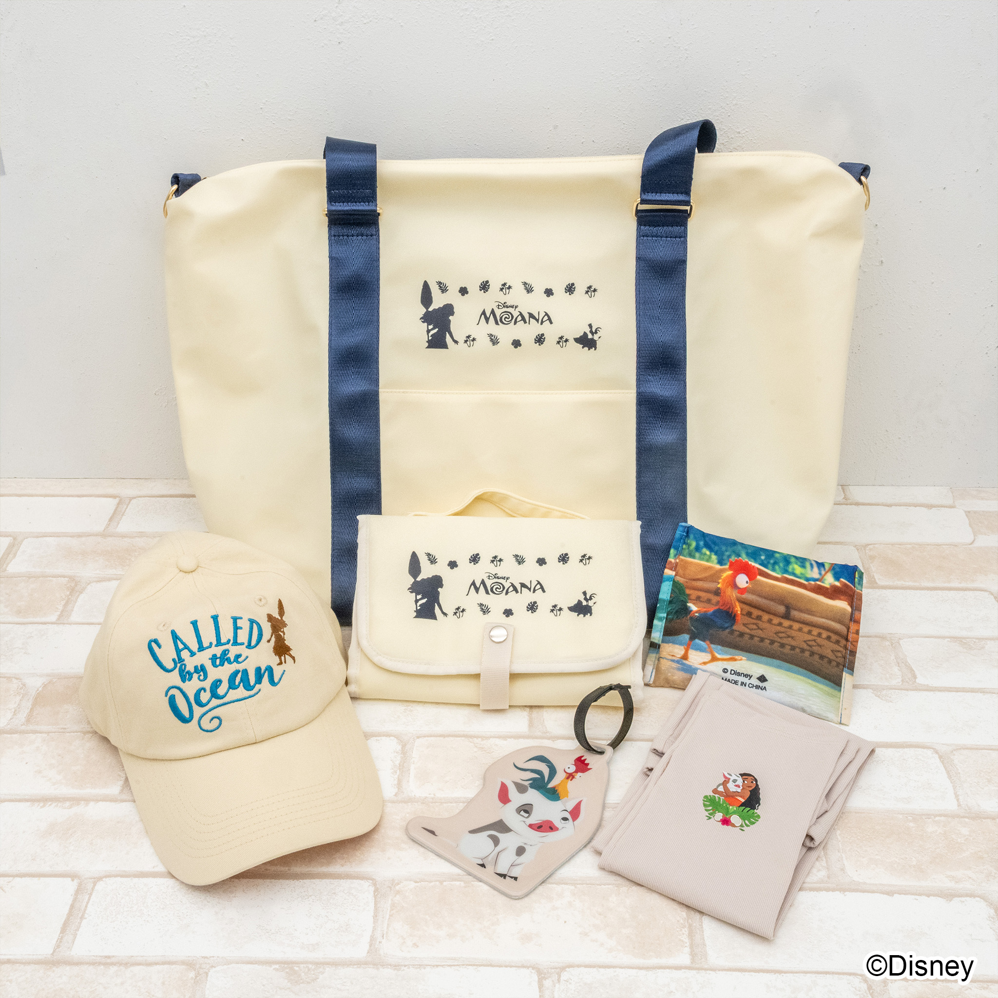 Plus Anq(プラスアンク)ディズニー『モアナと伝説の海』デザイン コレクション