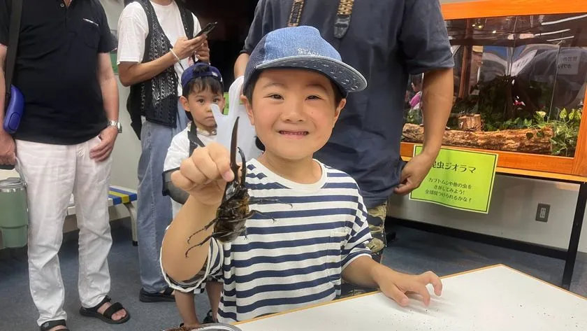 クワガタに触れる子ども