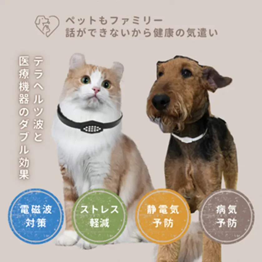 犬猫の着用イメージと機能訴求