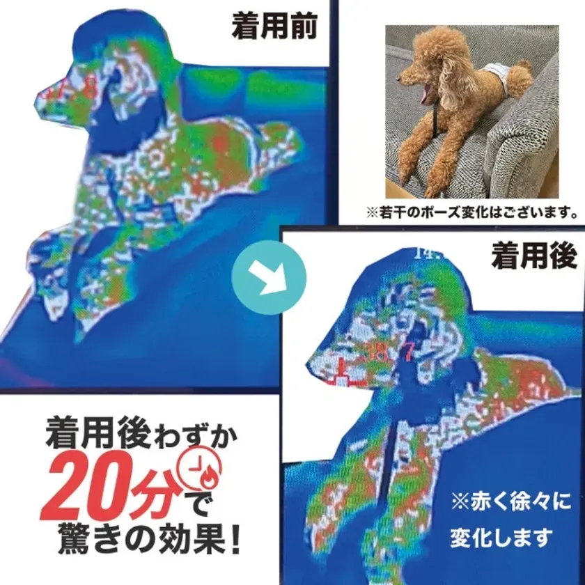 着用前後の比較イメージ