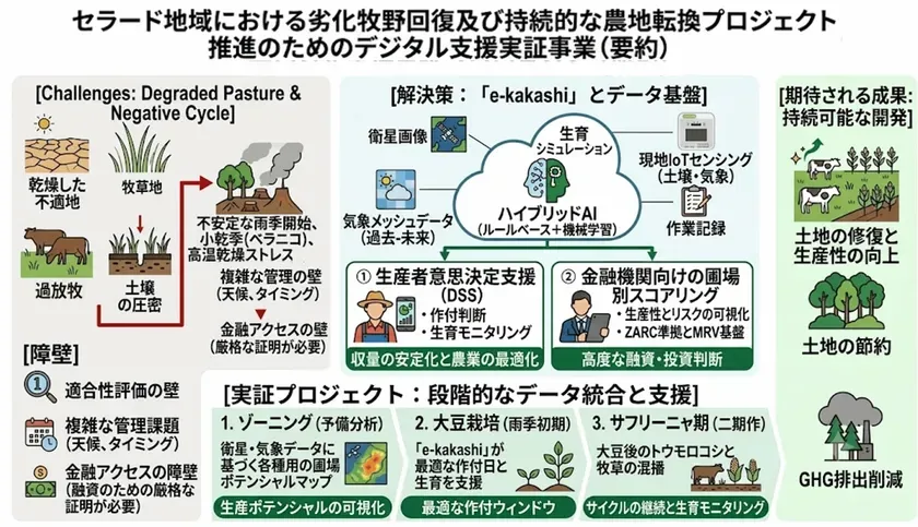 セラード地域支援実証事業の全体像