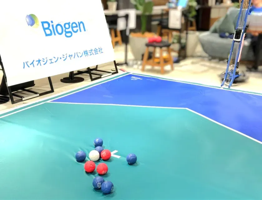 オンラインボッチャのコートとボール