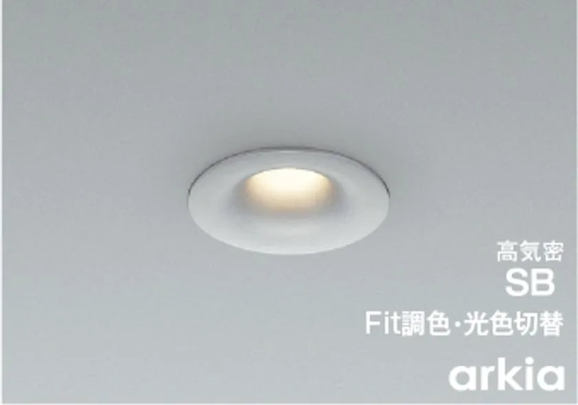 arkia ダウンライト ブライトシルバー