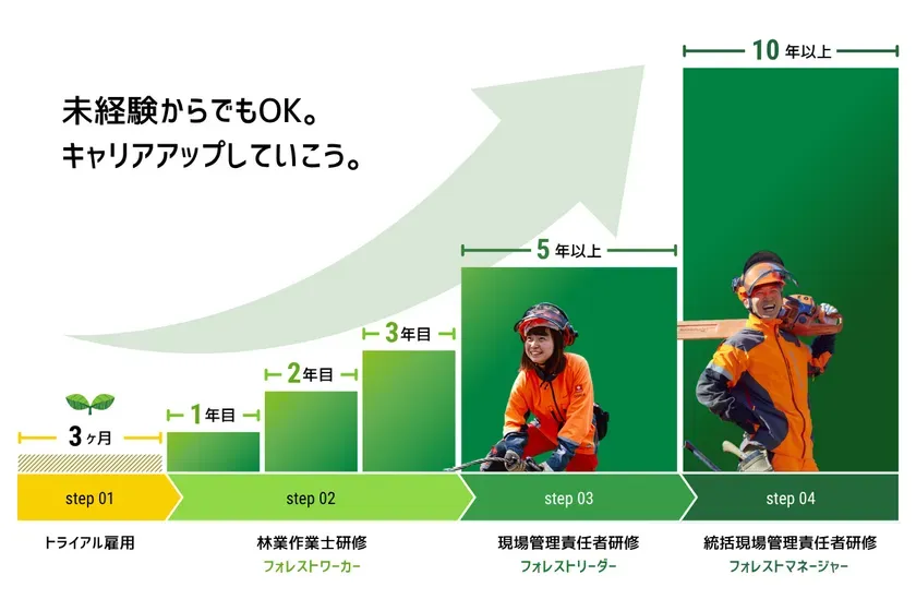 林業未経験者が段階的な研修を経て管理責任者を目指す流れを