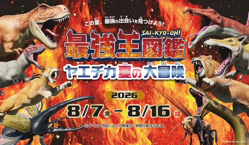 火炎背景のイベントメインビジュアル