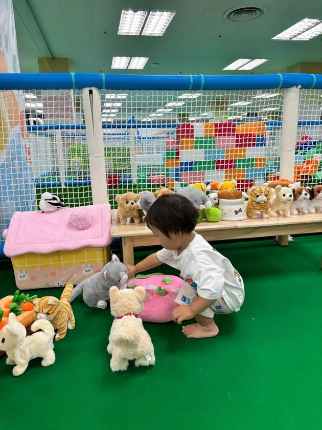 動物おもちゃで遊ぶ癒し動物園