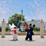 雲海ミストとシャボン玉でひんやりワクワク演出