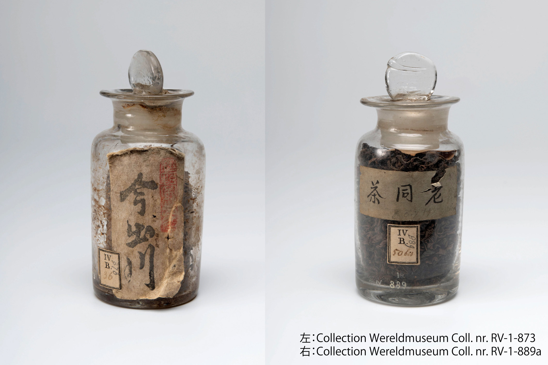 左：茶葉（今出川）江戸時代　右：茶葉（老同茶）1823-1829