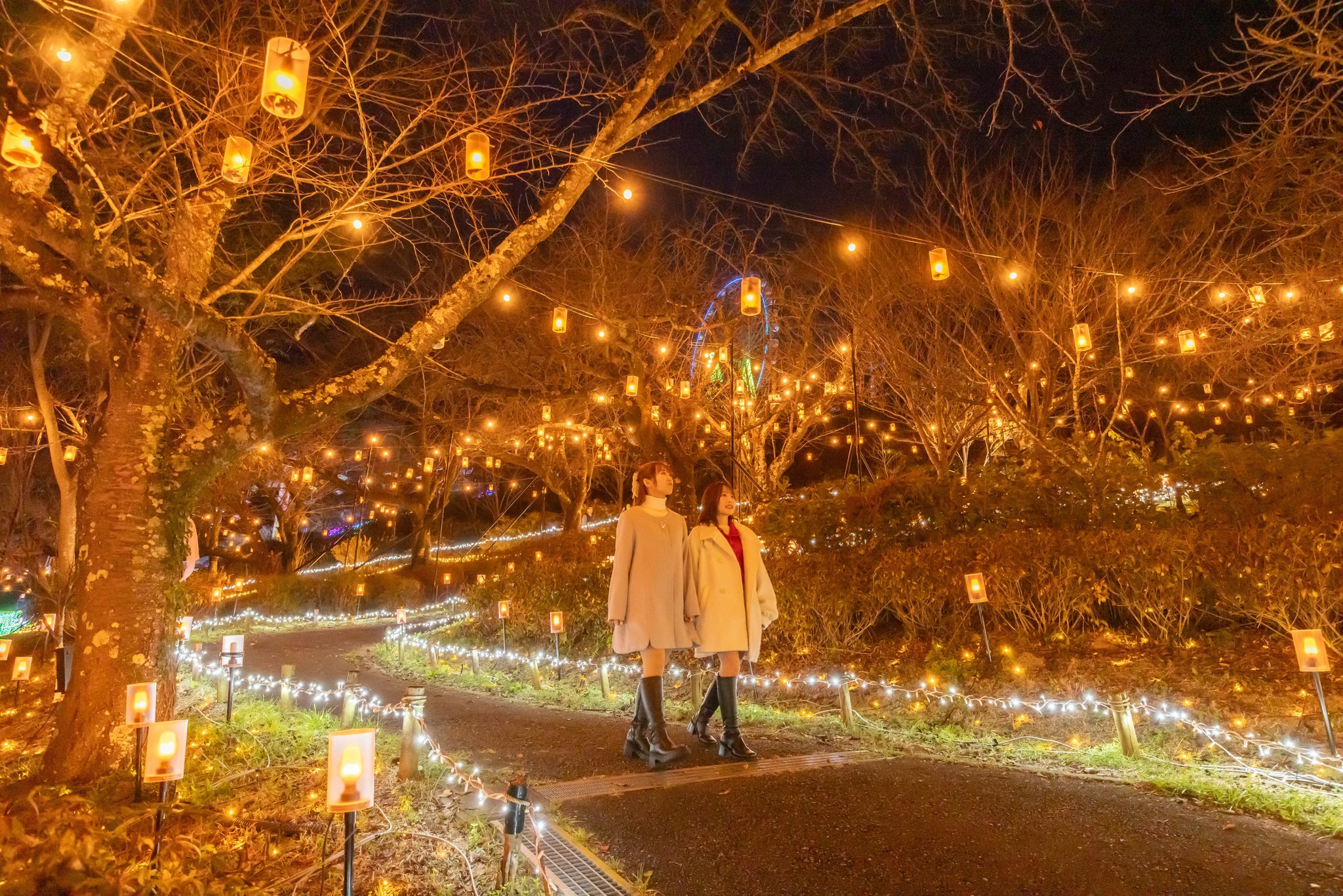 樹木に吊るされた橙色のランタンが並ぶ夜の遊歩道