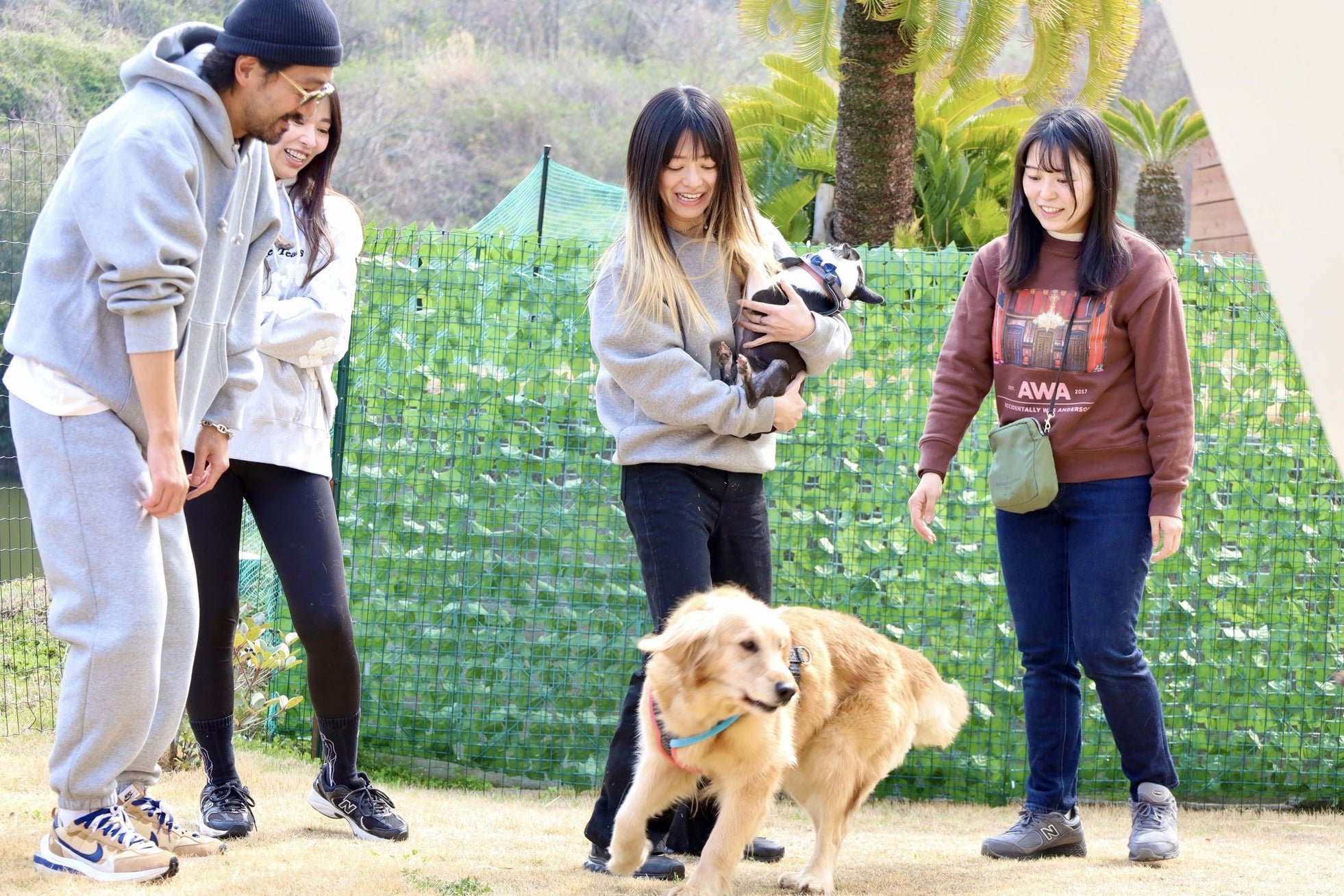 プライベートドッグランで愛犬と過ごす宿泊者