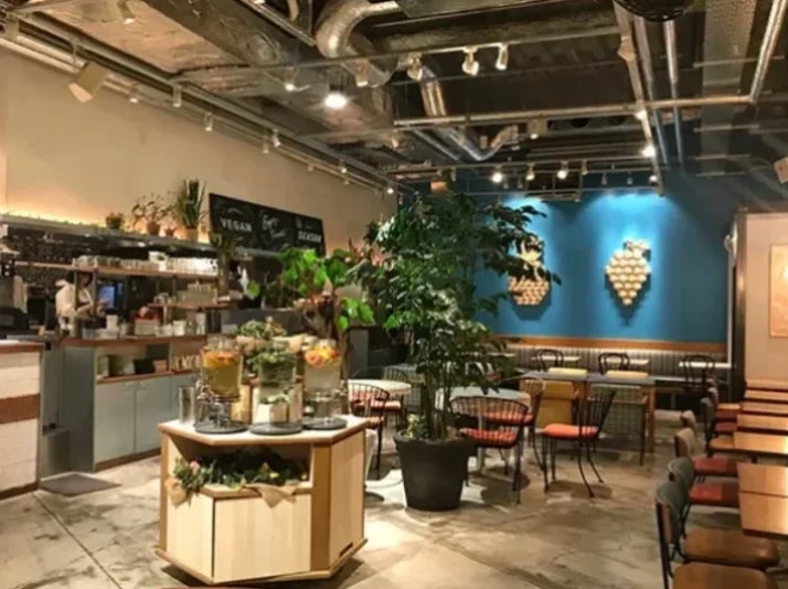 観葉植物とソファ席が並ぶ店内