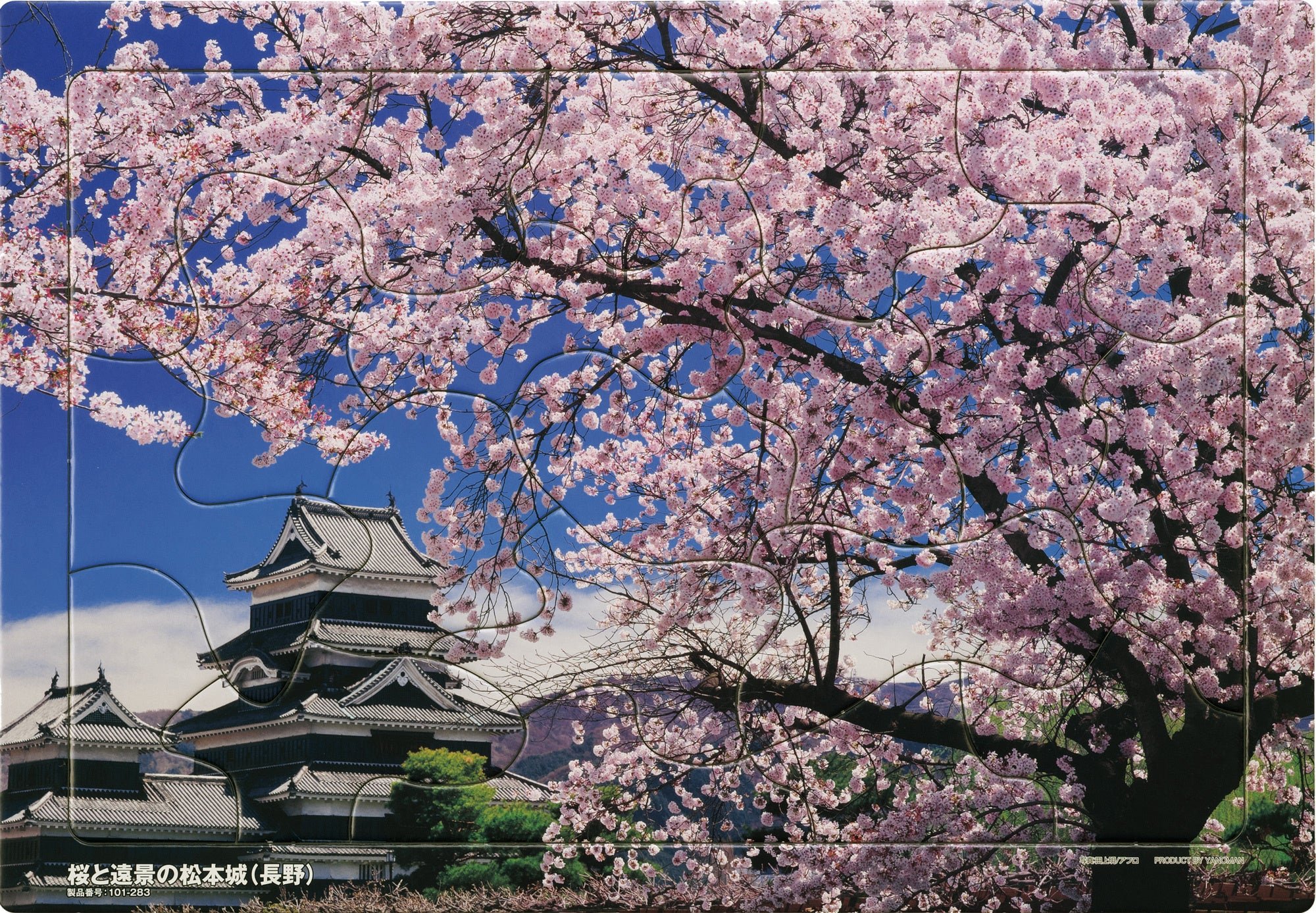 満開の桜と松本城を描いた桜と遠景の松本城柄