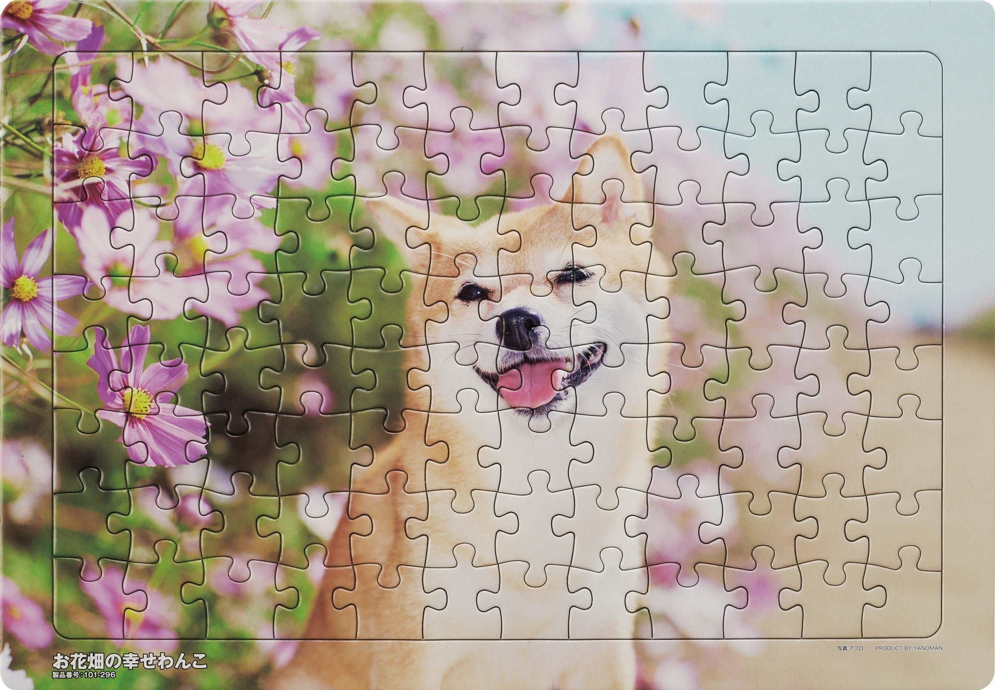 コスモス畑で笑う柴犬を描いたお花畑の幸せわんこ柄