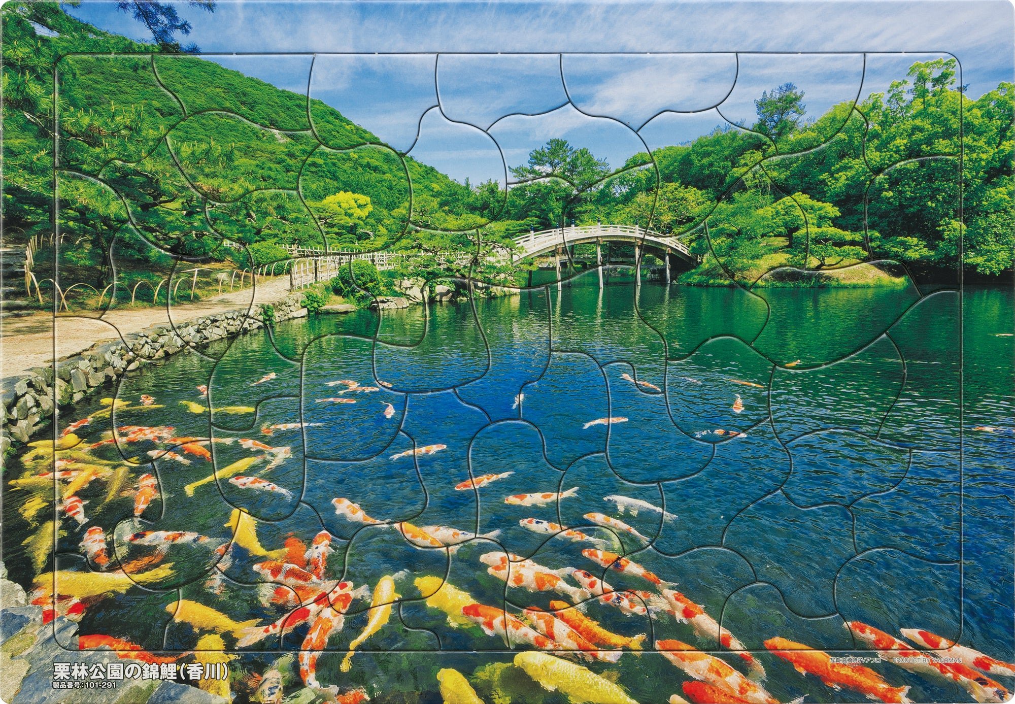 庭園の池を泳ぐ錦鯉を描いた栗林公園の錦鯉柄