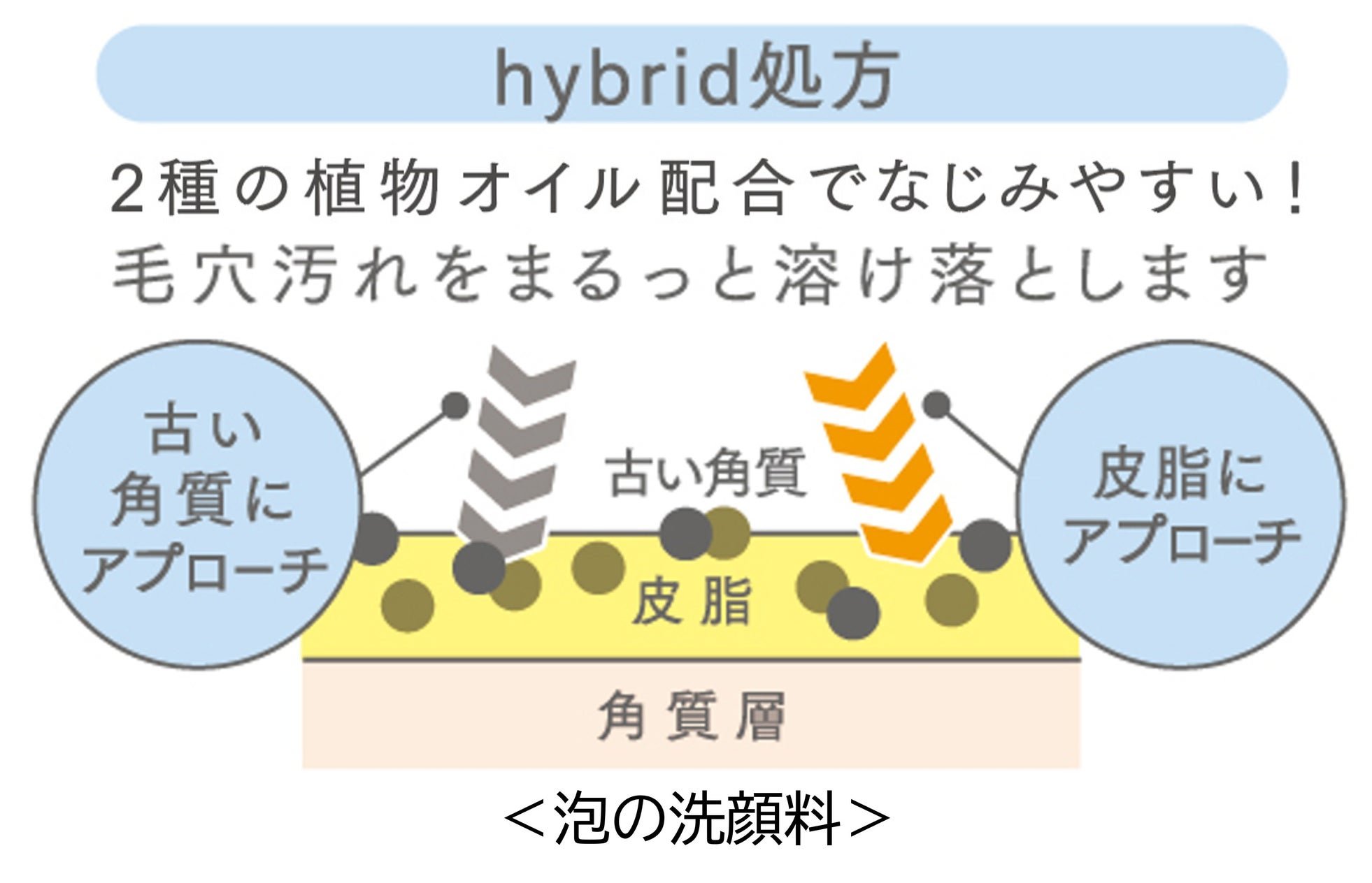 「泡の洗顔料」の「hybrid処方」を説明する図