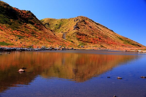 秋田駒ケ岳の紅葉と水面の照り返し