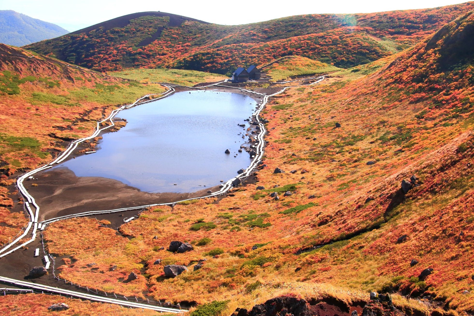 阿弥陀池と木道が広がる秋田駒ケ岳の紅葉風景