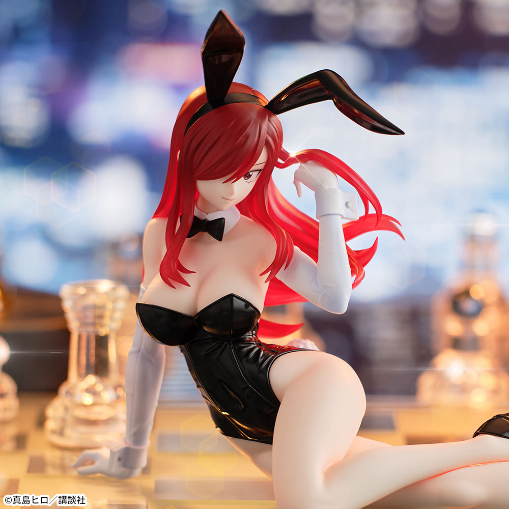 FAIRY TAIL　Yumemirize　‐エルザ・スカーレット‐　2