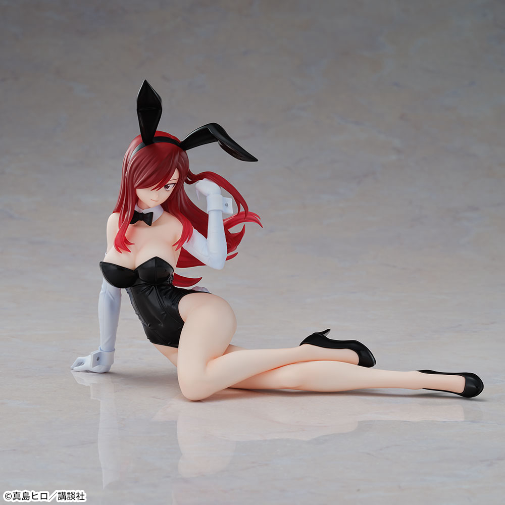 FAIRY TAIL　Yumemirize　‐エルザ・スカーレット‐　3