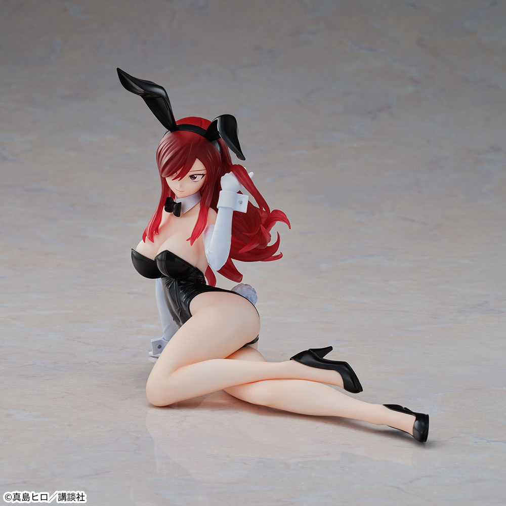 FAIRY TAIL　Yumemirize　‐エルザ・スカーレット‐　4