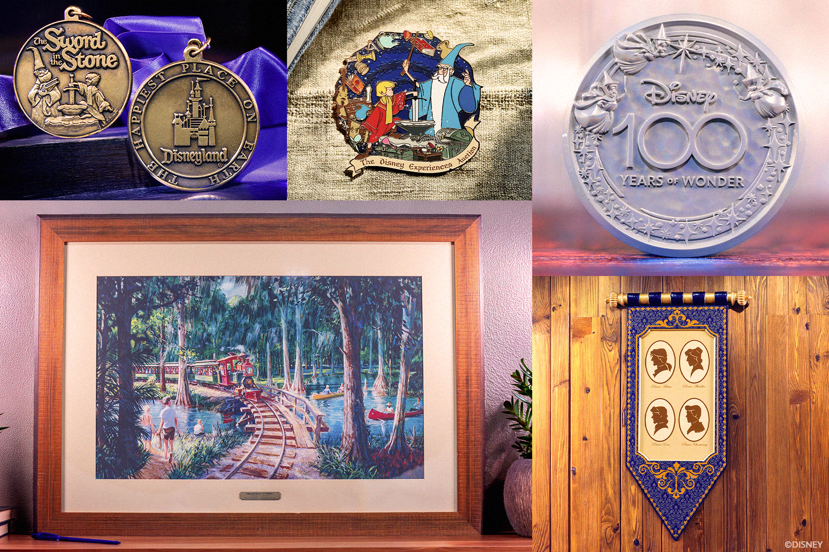 The Disney Experiences Auctionの出品アイテム
