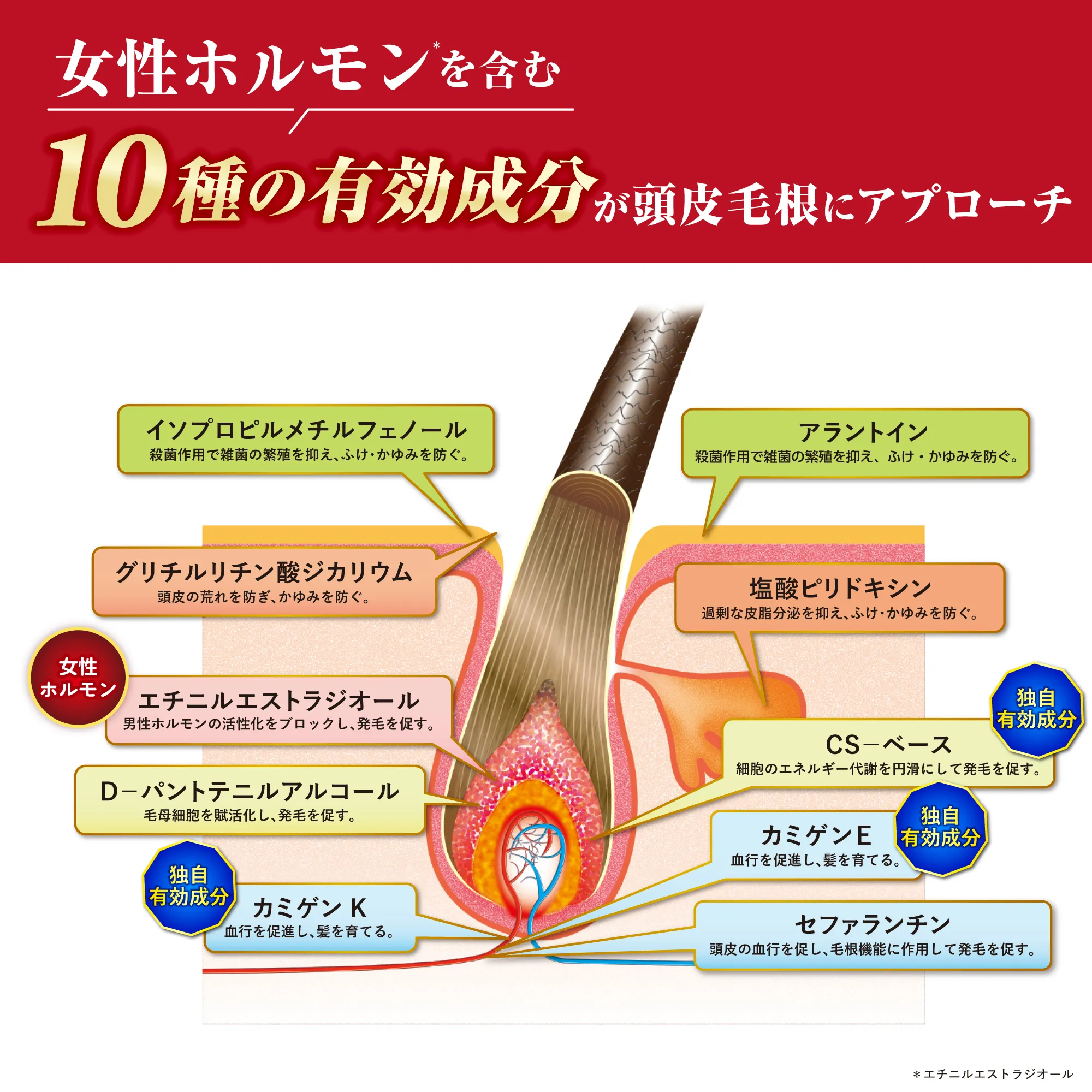 10種の有効成分と頭皮へのアプローチ