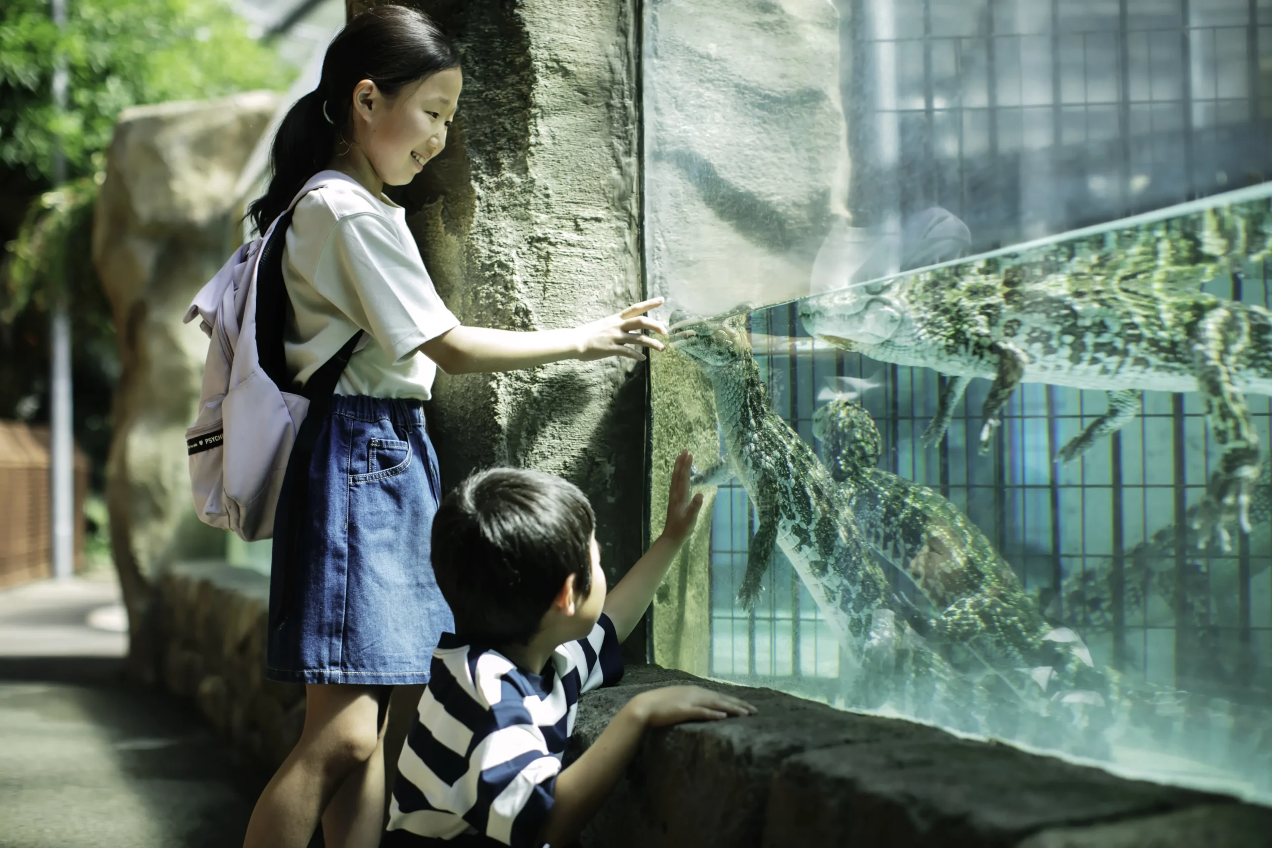 水槽越しにワニを見つめる来園者の子どもたち