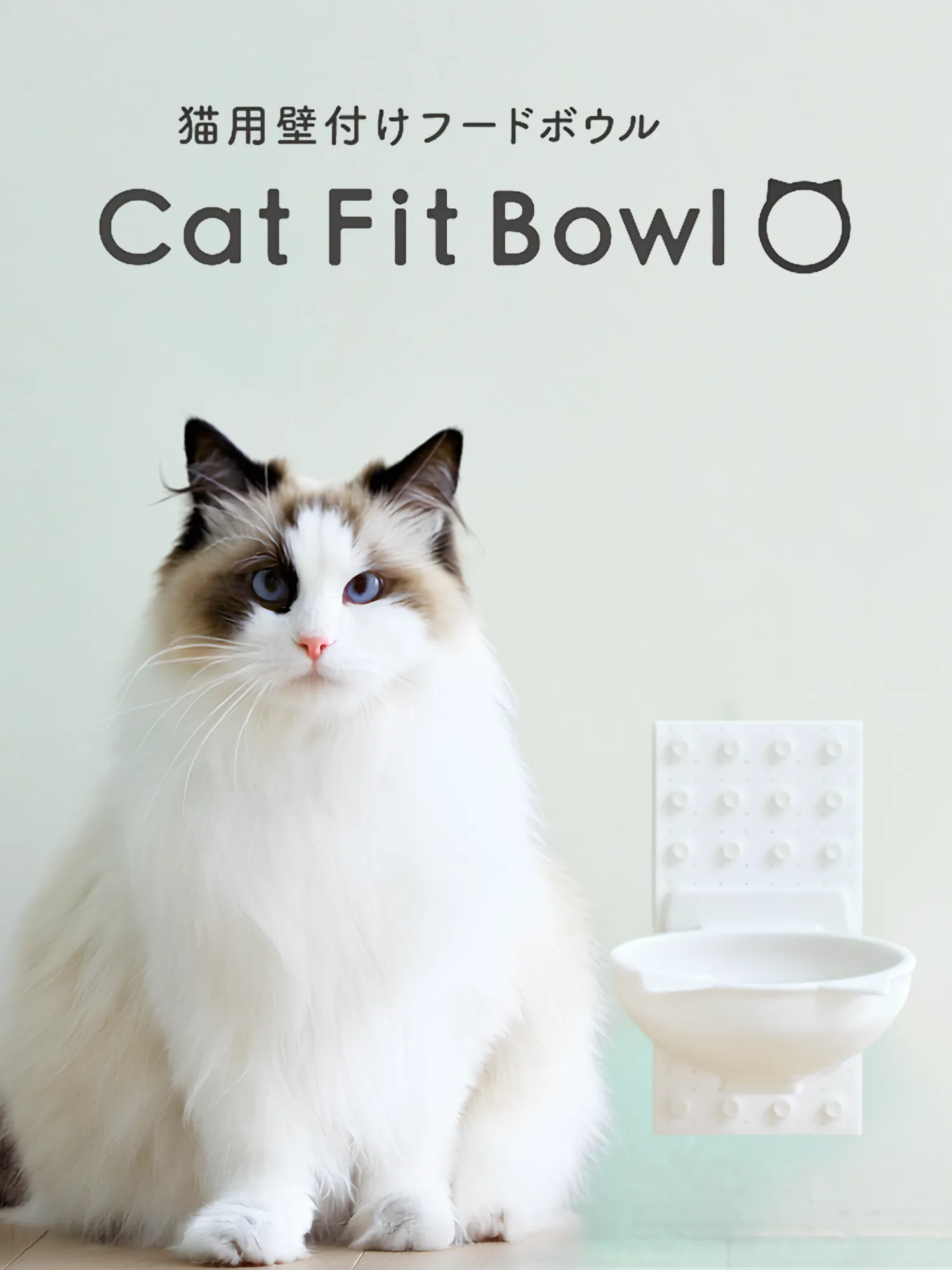 白猫と壁付け「Cat Fit Bowl」