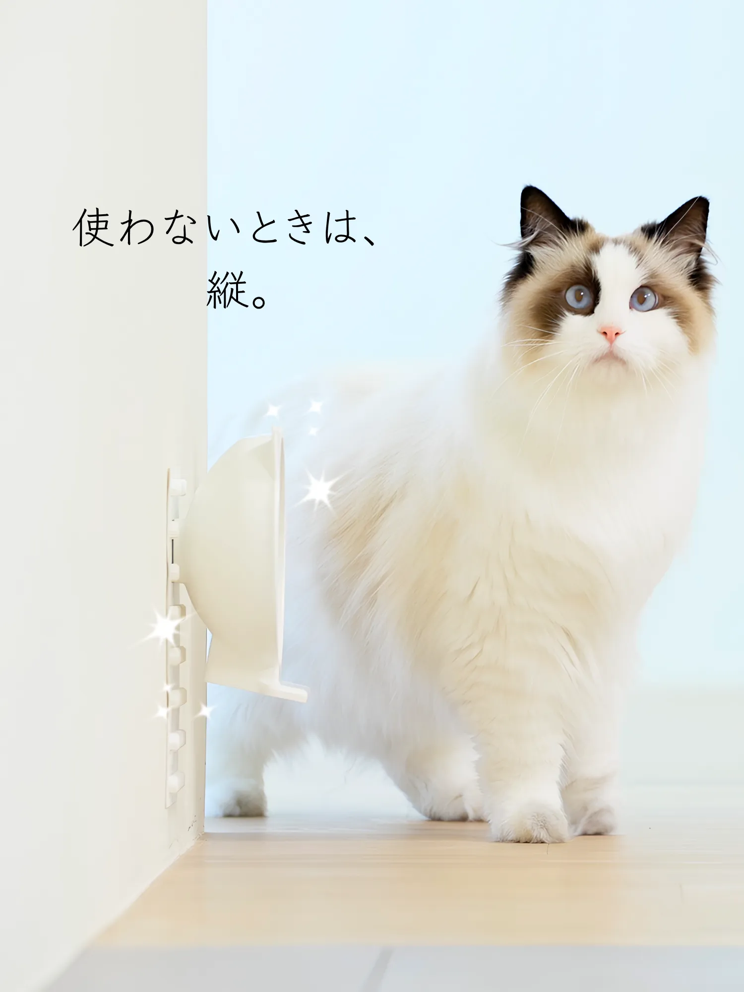 縦向きに収納された「Cat Fit Bowl」と見守る猫