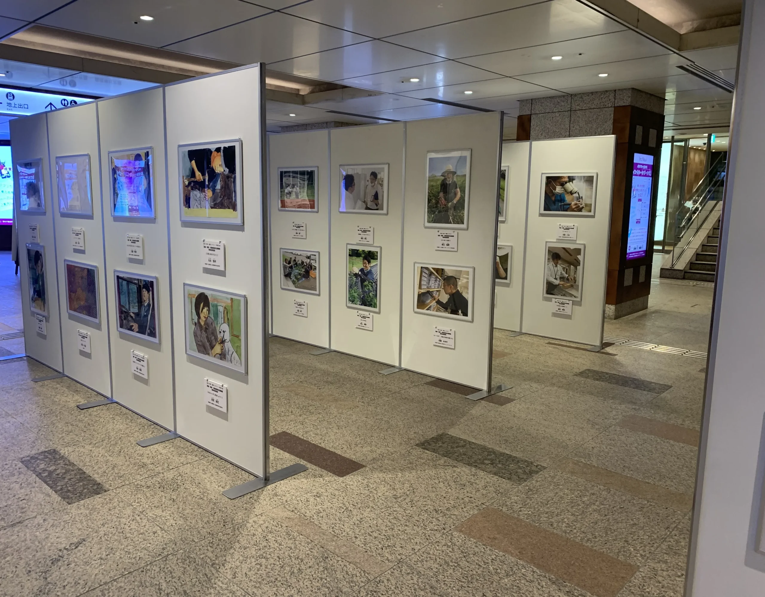 江戸桜通り地下歩道の東京会場展示風景
