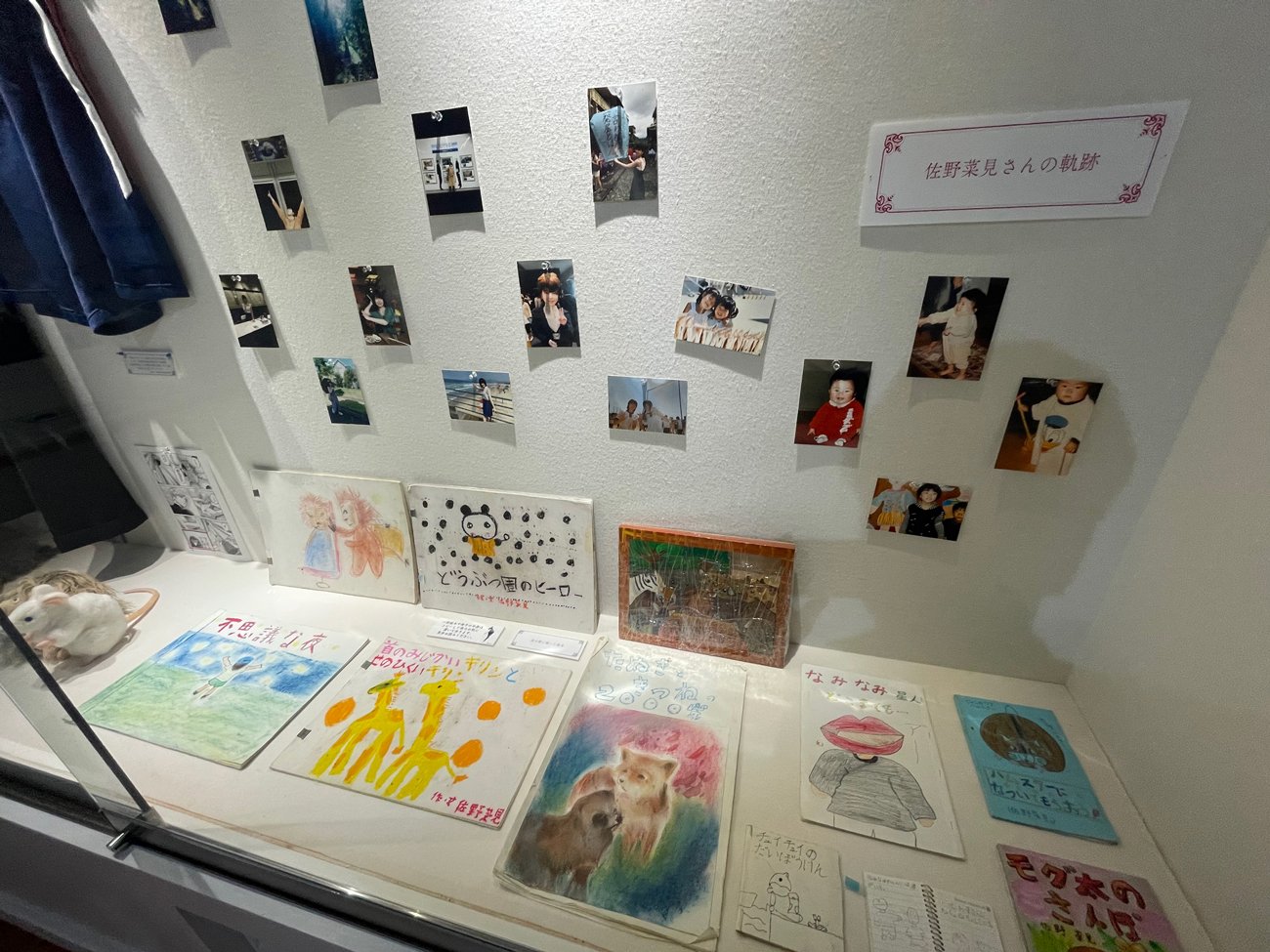 「佐野菜見さんの軌跡」コーナー展示