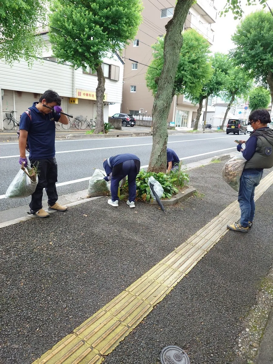 街路樹周辺を清掃する参加者