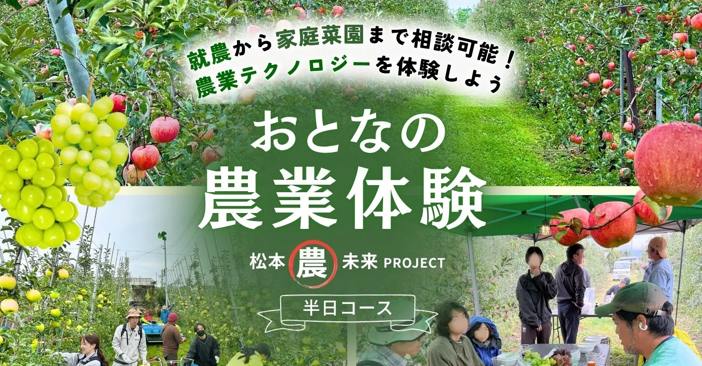松本農未来PROJECTの「おとなの農業体験」