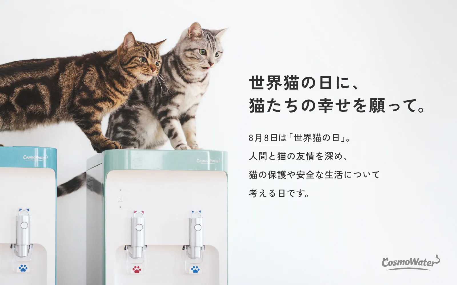 2匹の猫が猫モチーフ付きウォーターサーバーの上に並び