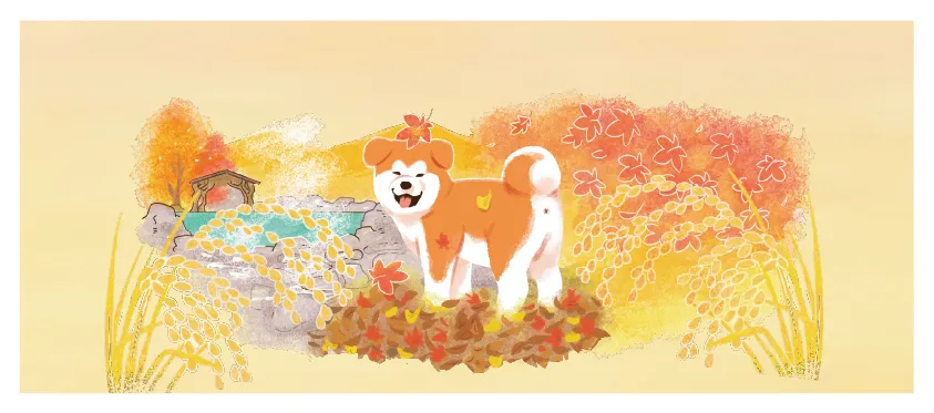 缶側面に描かれた秋の紅葉と名湯