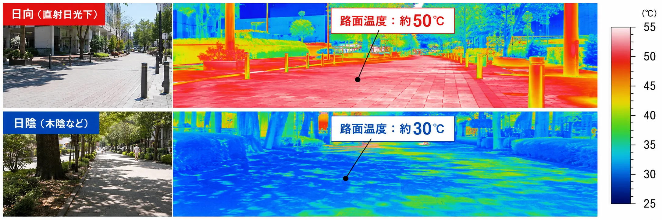 西宮北口駅周辺の歩道を撮影したサーモグラフィ比較写真