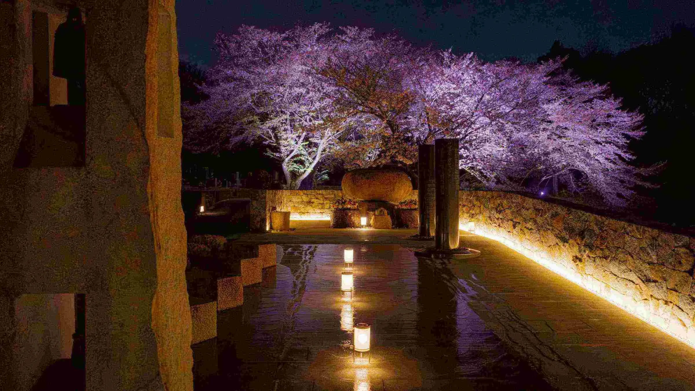 證大寺「夕涼み参り」の夜桜と参道のライトアップ