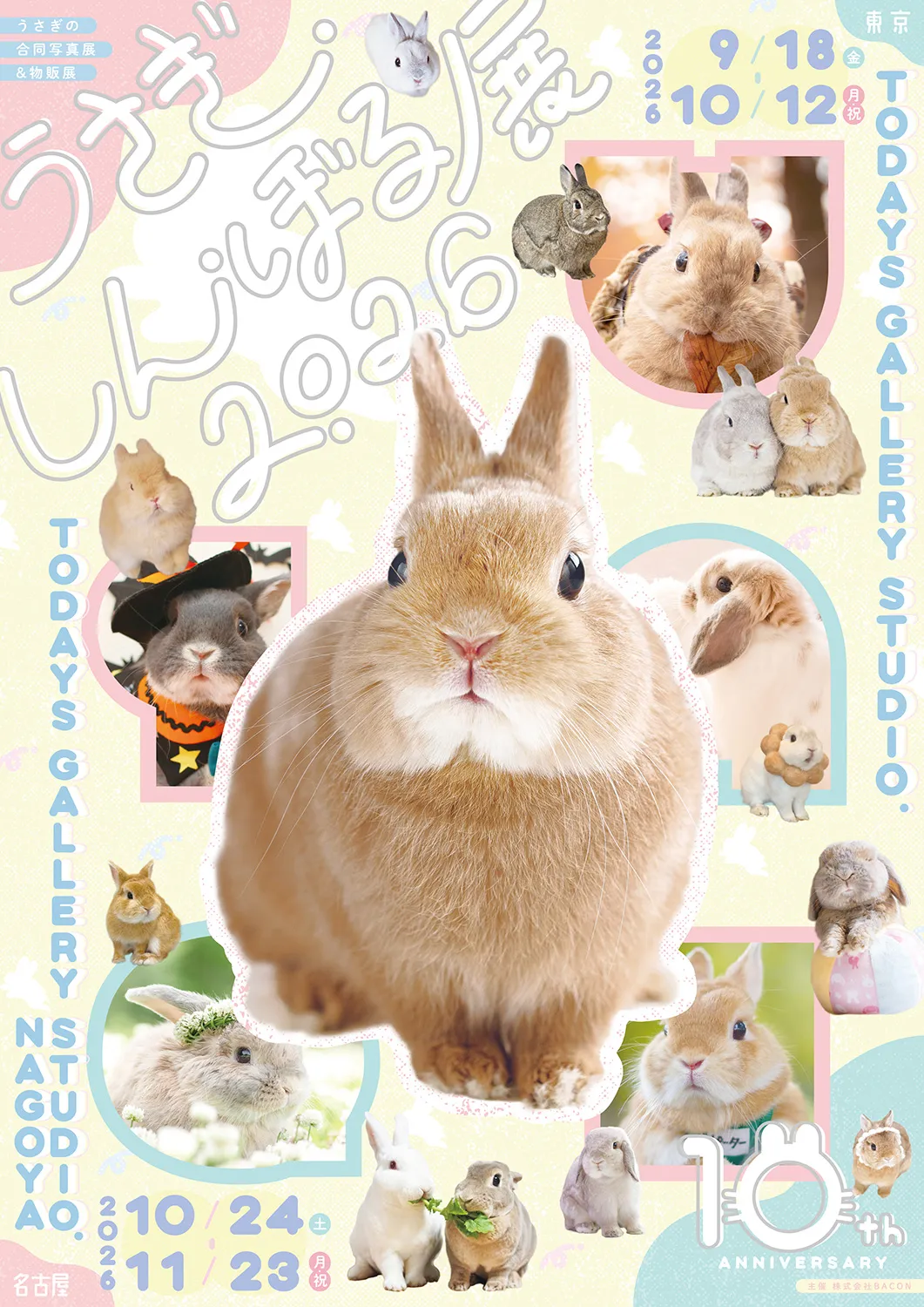 「うさぎしんぼる展 2026」10周年アニバーサリービジュアル