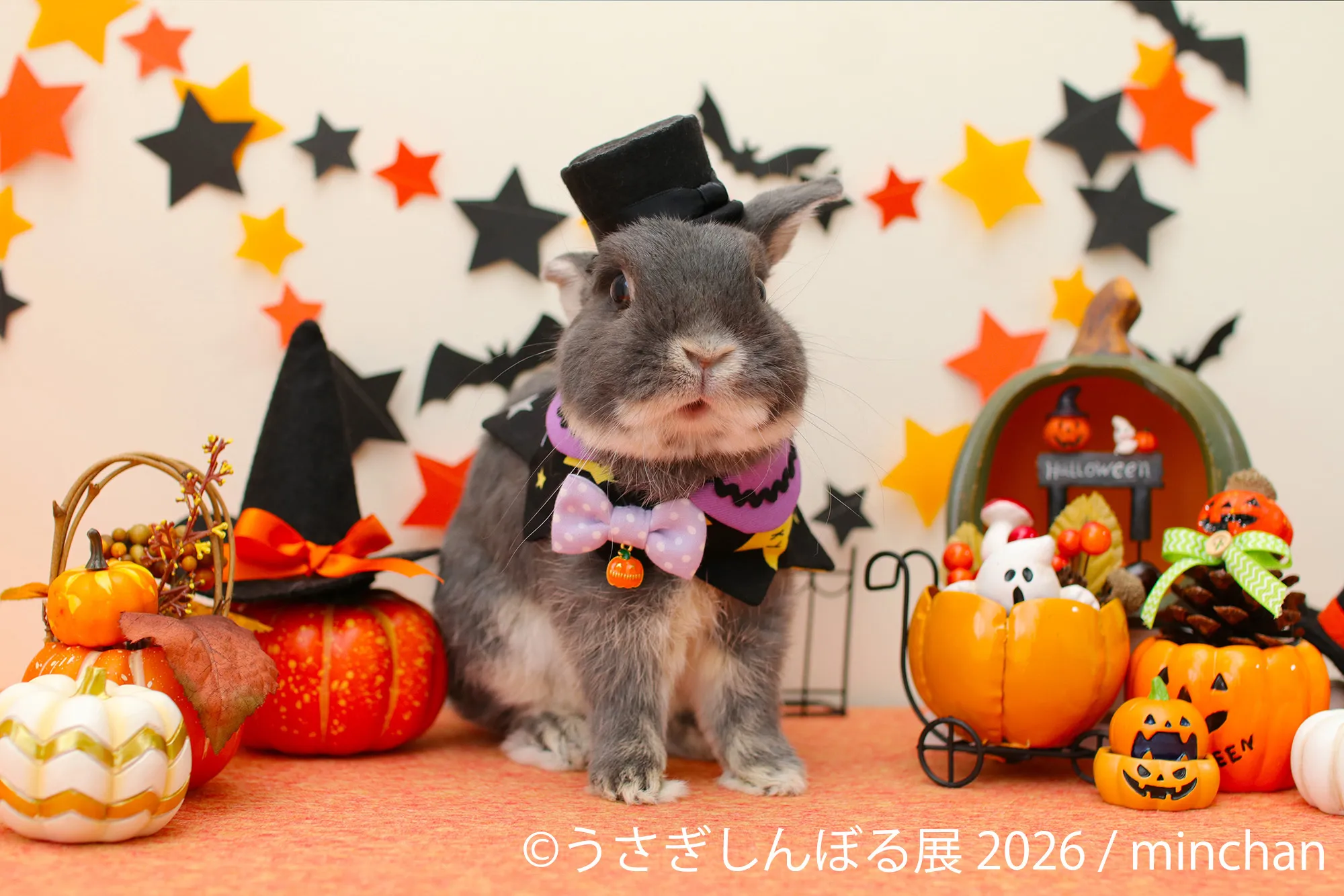 minchanのハロウィン仮装うさぎ