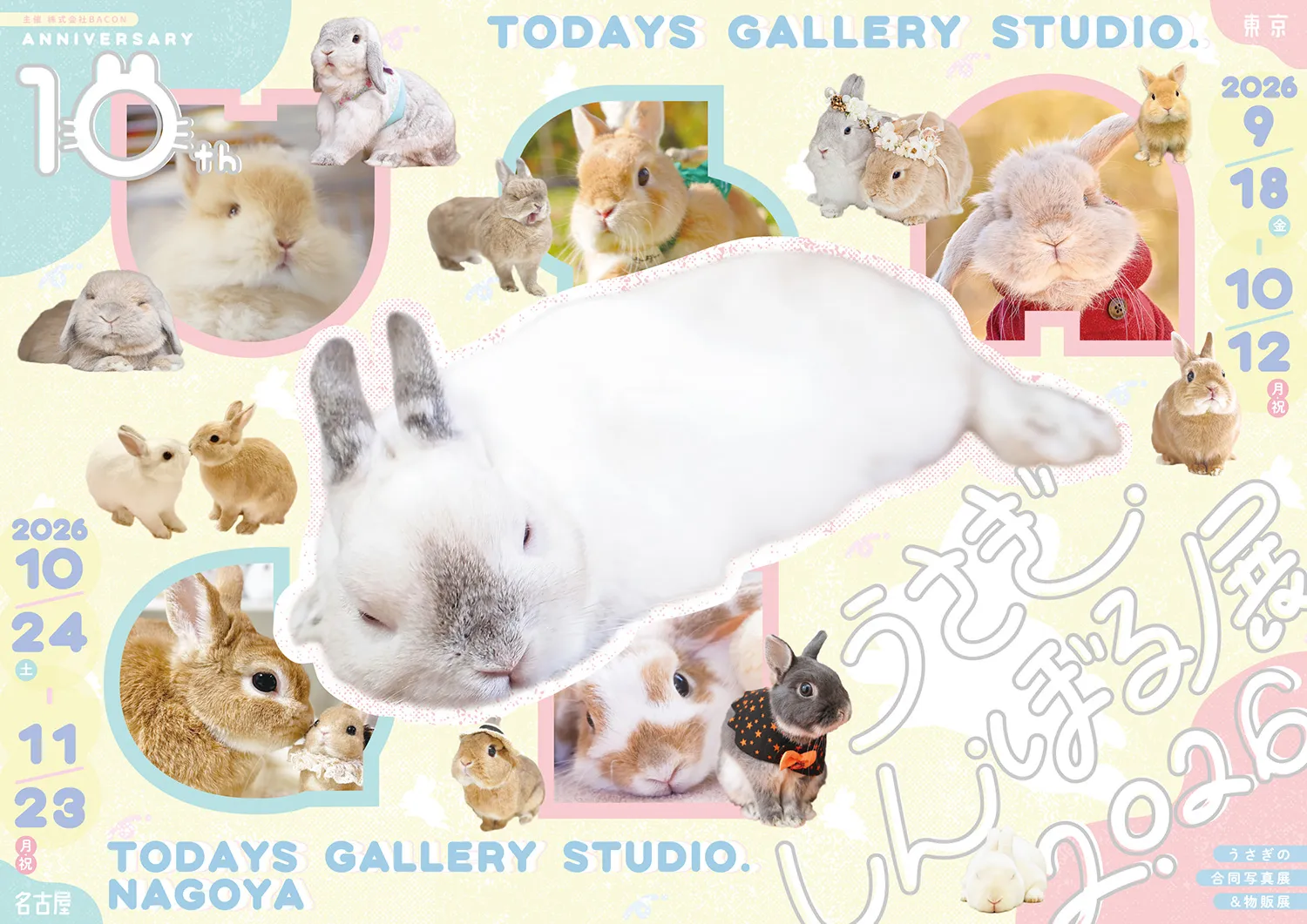 名古屋会場のうさぎしんぼる展2026ビジュアル