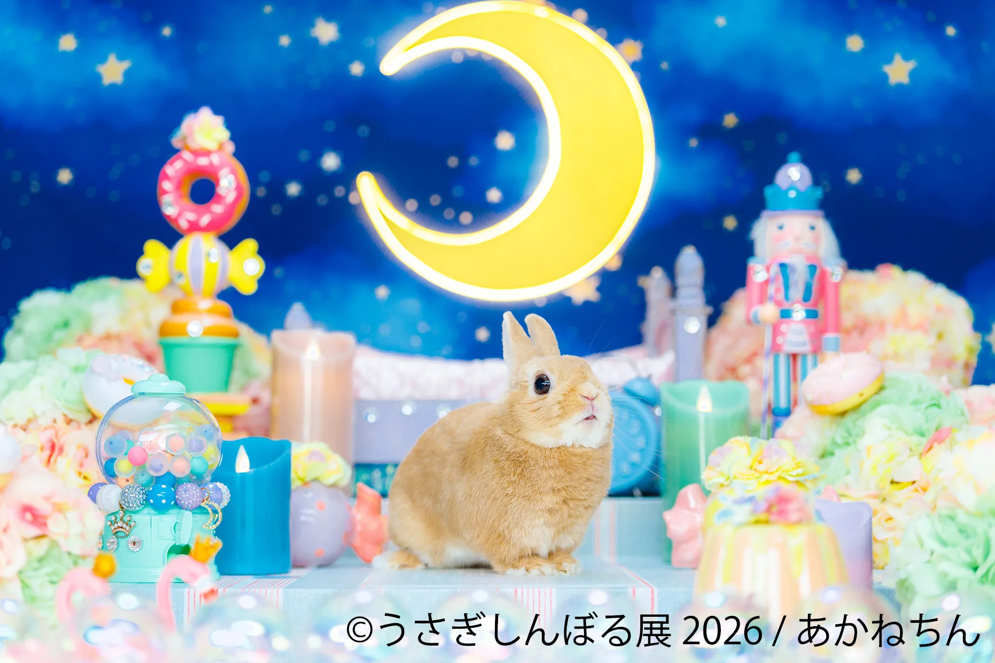 あかねちんのうさぎと夜空の三日月オブジェ
