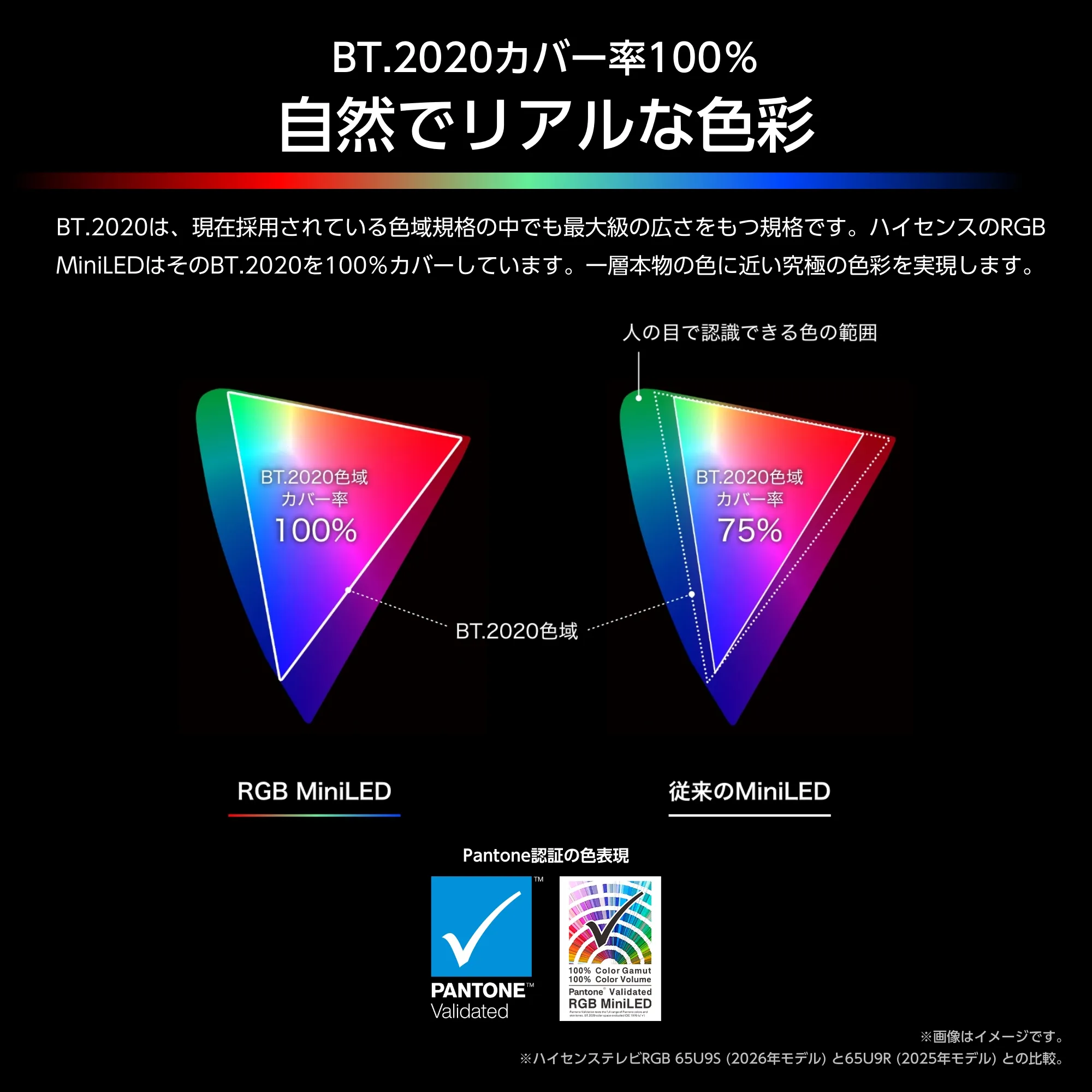 BT.2020色域カバー率100%を示す色域グラフ