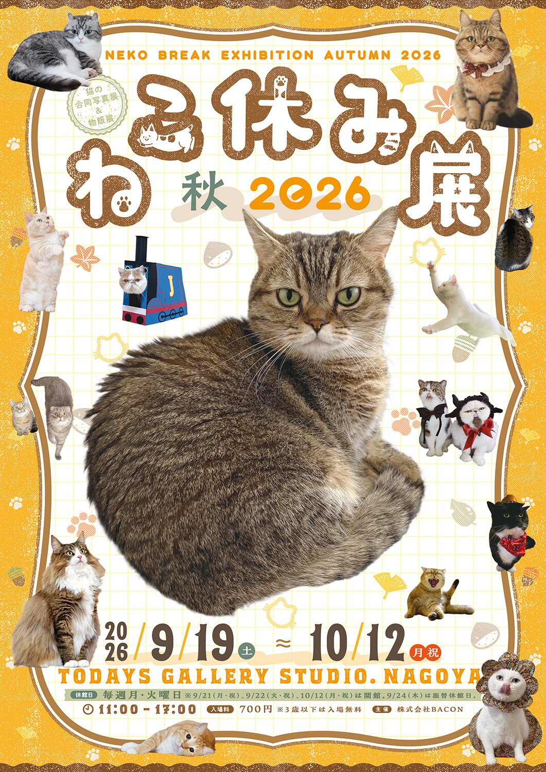 「ねこ休み展 秋2026」メインビジュアル