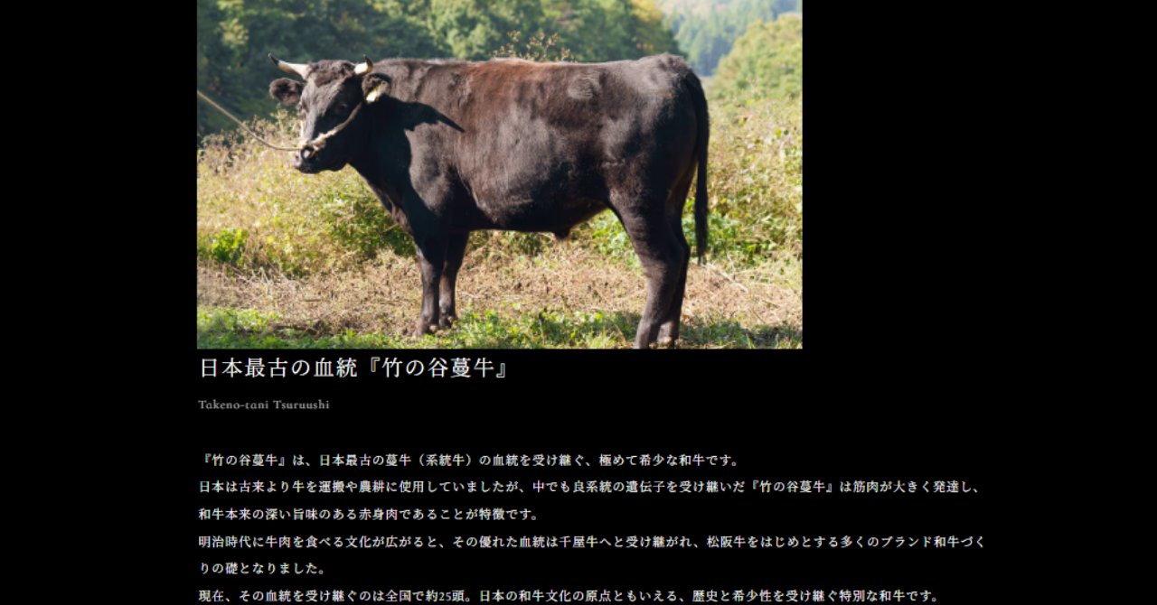 牧草地に立つ竹の谷蔓牛