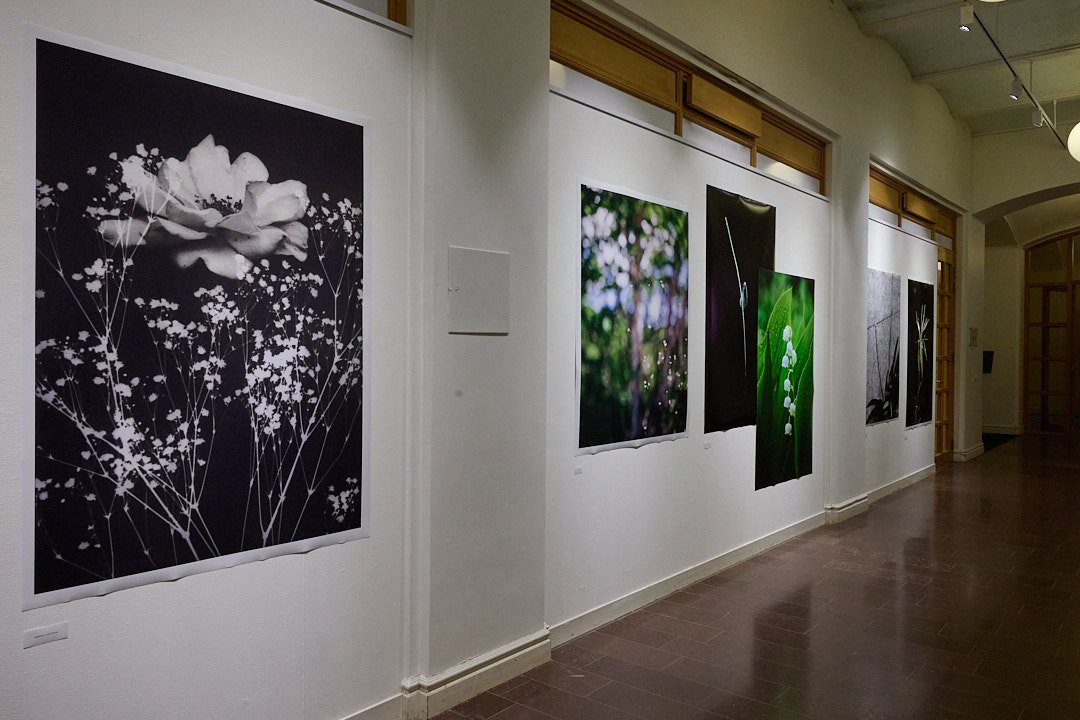 「FLOWER展」の会場風景