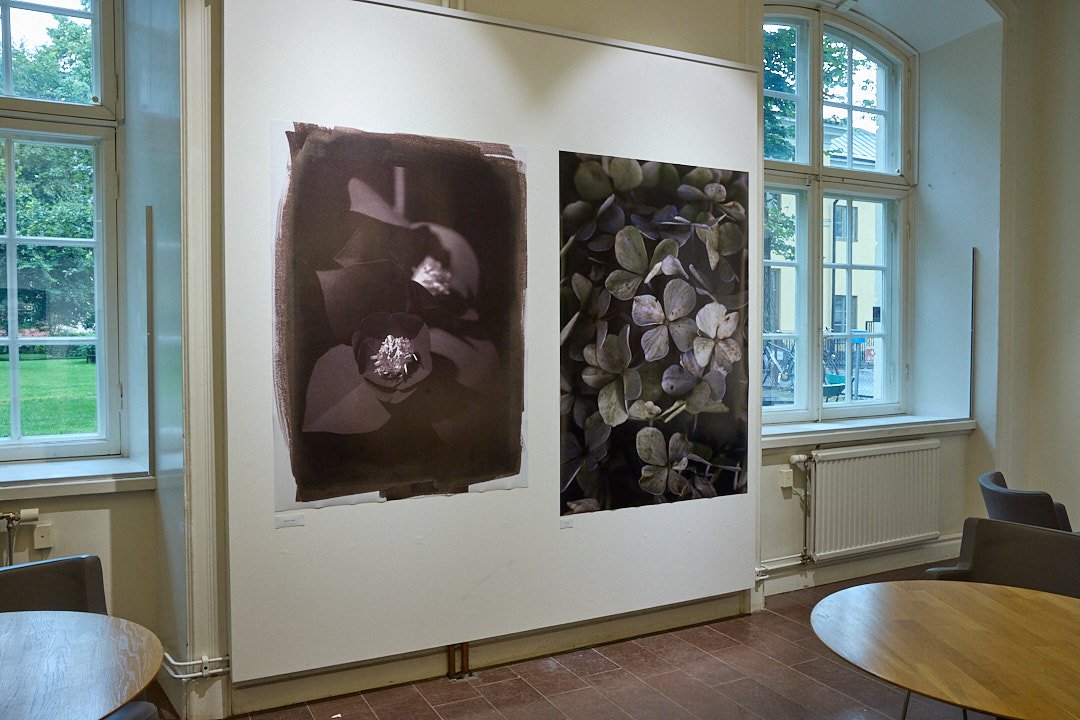 「FLOWER展」に展示されたセピア調の学生作品