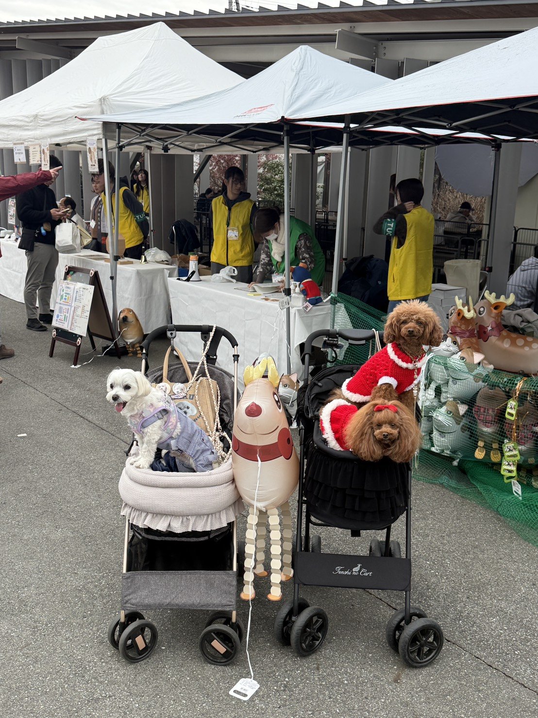 「わんこフェスタ in 富岡」のテント会場